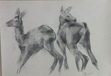 Mes dessins